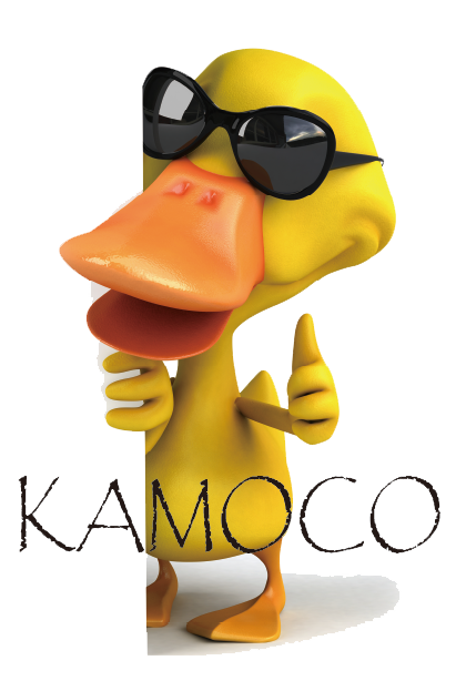 株式会社KAMOCO