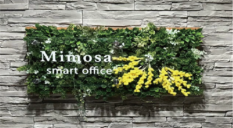 mimosa